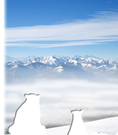 Le Alpi svizzere sullo sfondo e due orse che ammirano il panorama