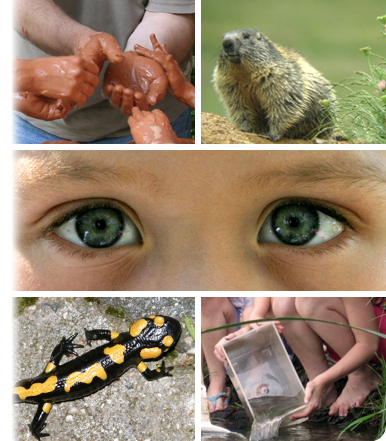 Composta da più immagini: mani che impastano argilla, una marmotta, un paio di occhi curiosi, una salamandra gialla e nera, bambini che giocano sulla riva di uno stagno.